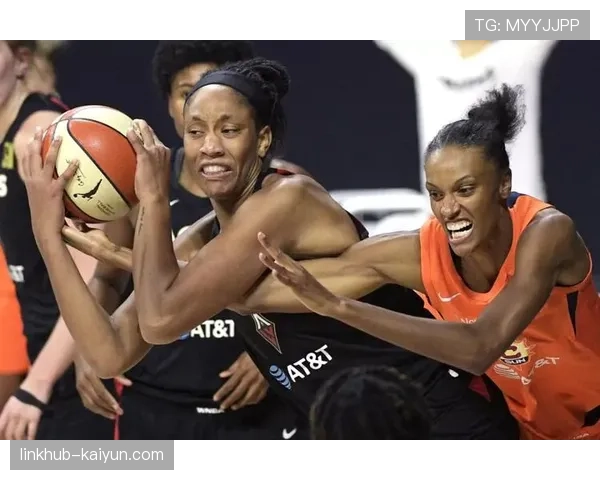 WNBA扩军至15支球队：多伦多节奏与波特兰火焰加入联盟